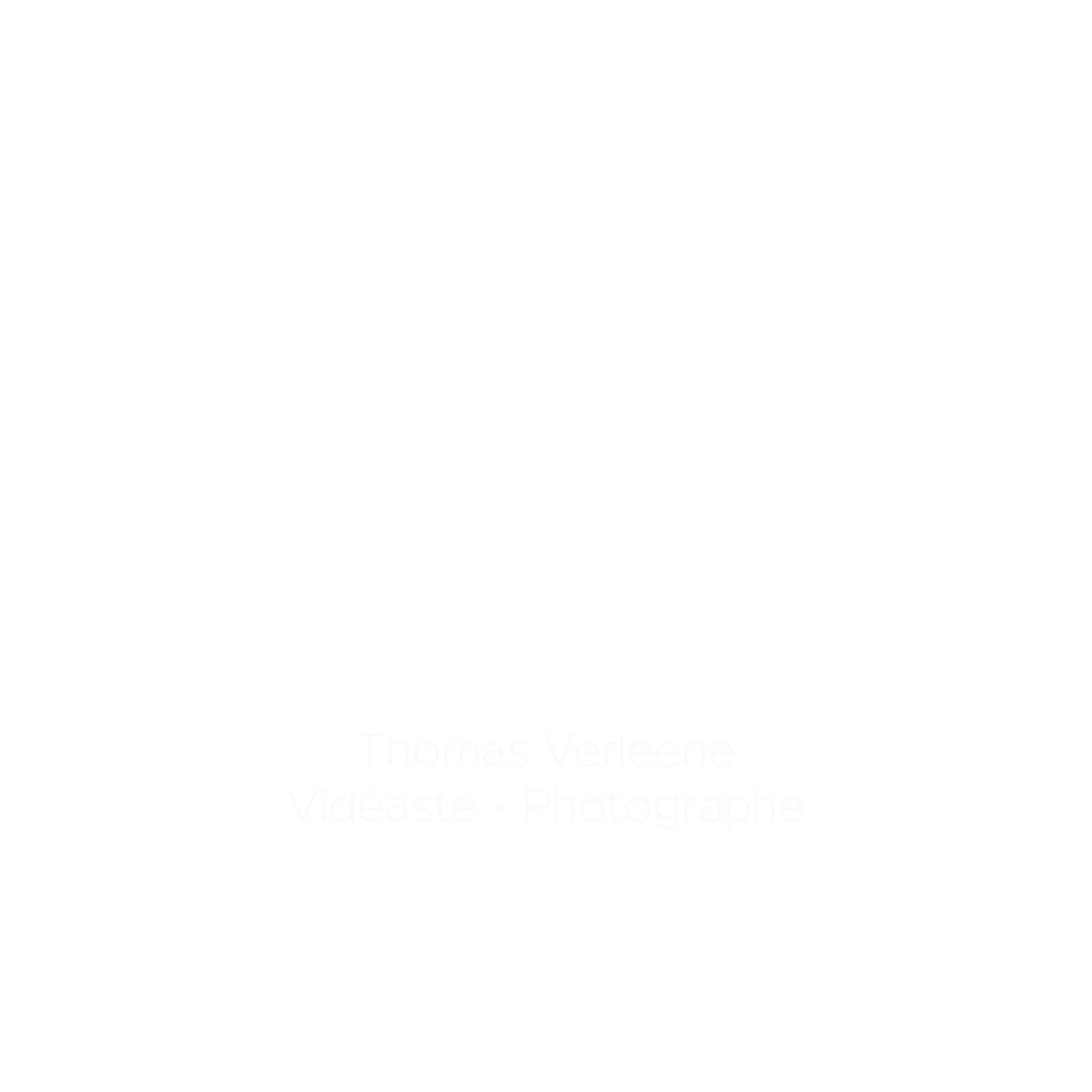 logo Thomas Verleen